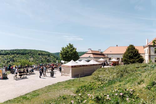Festival vína VOC Znojmo